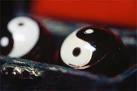 My first medium format macro - via Daymix