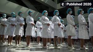 Attēlu rezultāti vaicājumam “Pandemis cinnamomeana female”