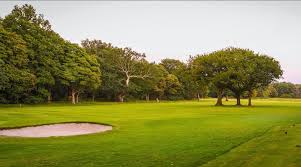 Image result for Limpsfield Lawn Tennis Club