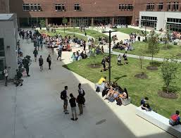 Image result for Apex Paragliding School