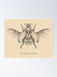 Attēlu rezultāti vaicājumam “Anomala dubia”