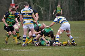 Image result for Effingham and Leatherhead Rfc