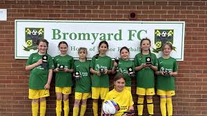 Image result for Bromyard Town Football Club Limited