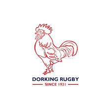 Image result for Dorking Football Club Limited