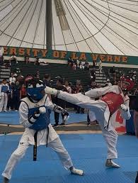 Image result for Utf Jaguar Tkd