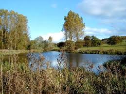 Image result for Selby Londesborough Cc