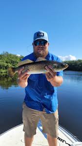 Image result for Cynoscion nebulosus