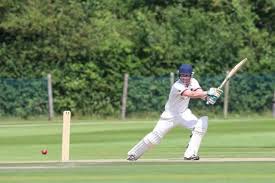 Image result for West Chiltington & Thakeham Cc