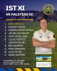 Image result for Halstead Cricket Club