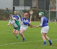 Image result for Green Isle Camogie Club - Players Wanted!