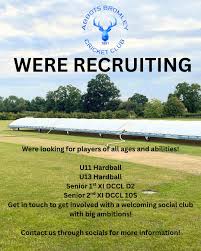Image result for Abbots Bromley Cricket Club