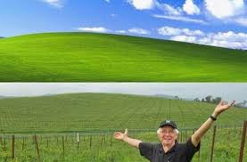 Image result for love windows xp wallpaper