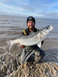 Image result for Bristol Channel Sea Fishing
