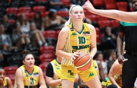 Image result for Nottingham Wildcats