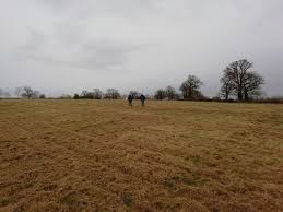 Image result for Abbey Bowmen (St Albans) Archery Club