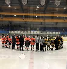 Image result for Telford Junior Ice Hockey Club