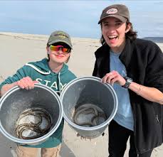 Image result for Raja straeleni