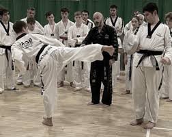 Image result for Newbury TAGB Tae Kwon-Do (Juniors)