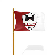 Image result for Ballyhegan Davitts Gaa Club