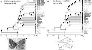 Attēlu rezultāti vaicājumam “Vacciniina optilete underside”