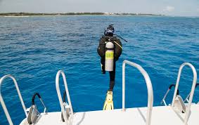 Image result for Blue Water Diving
