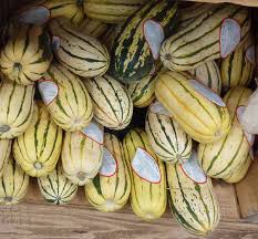 Attēlu rezultāti vaicājumam “Cucurbita pepo fruit”