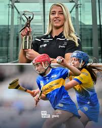 Image result for Green Isle Camogie Club - Players Wanted!