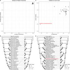 Attēlu rezultāti vaicājumam “Reticularia sp.”