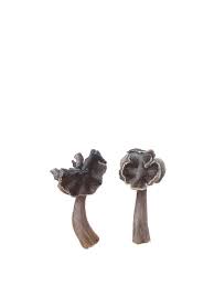 Attēlu rezultāti vaicājumam “Helvella atra”