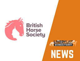 Image result for British Horse Society