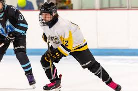 Image result for Adur Skater Hockey Club