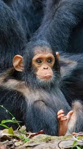 Image result for funniest picture ever