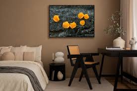 Attēlu rezultāti vaicājumam “Miladina lecithina”