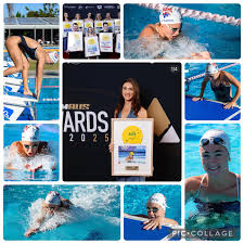 Image result for Grimsby Alexander Dolphins Swimming Club