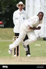 Image result for Westfield Cricket Club