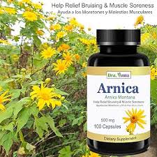 Attēlu rezultāti vaicājumam “Arnica montana”