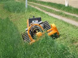 Image result for roboflail tehron