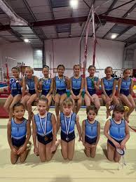 Image result for Woking Gymnastics Club