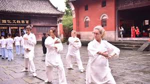Image result for Shaolin Ancestors kung Fu School