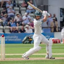 Image result for Milton Cricket Club