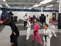Image result for INTERNATIONAL HAPKIDO TAMWORTH