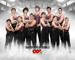 Image result for Hemsworth Odyssey Gymnastics Squad