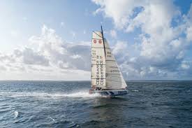 Image result for Pogo minitransat