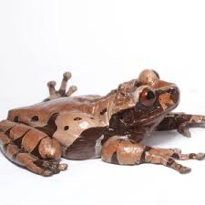 Attēlu rezultāti vaicājumam “Epirhoe tristata”