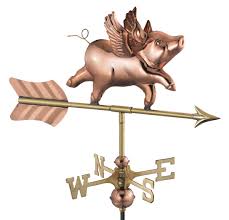 Image result for flying pigs