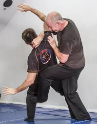 Image result for Midlands Wing Chun