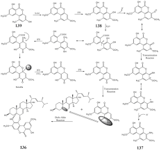 Attēlu rezultāti vaicājumam “Stemonitopsis hyperopta var. landewaldii macro”