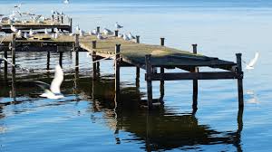 Image result for Wigan Seagulls