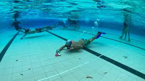 Image result for Stirling University Underwater Hockey Club