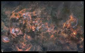 Attēlu rezultāti vaicājumam “Cygnus”